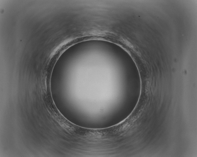 X0000085041214200703121425