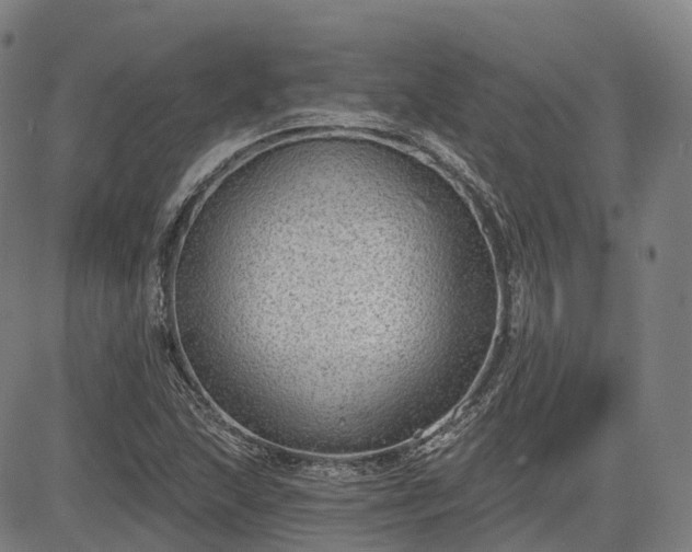 X0000085041215200703121425