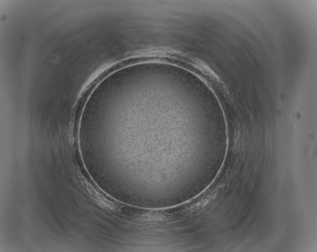 X0000085041216200703121425