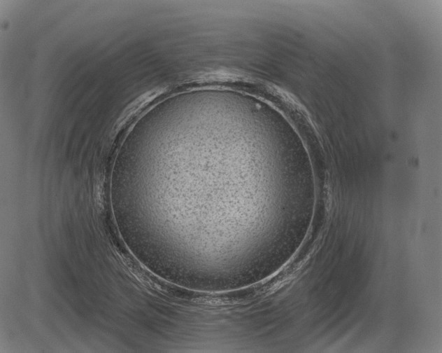 X0000085041217200703121425