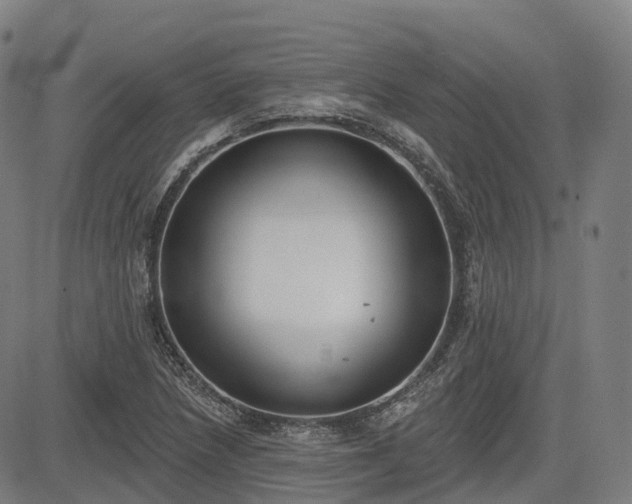 X0000085041218200703121425