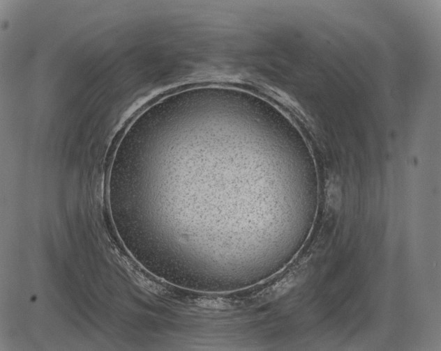 X0000085041220200703121425