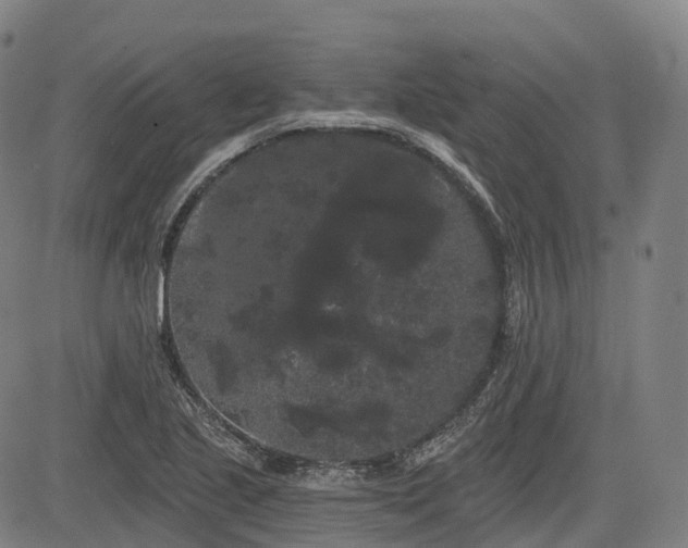 X0000085041221200703121425