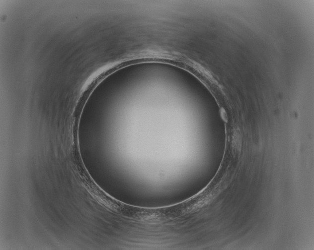 X0000085041222200703121425