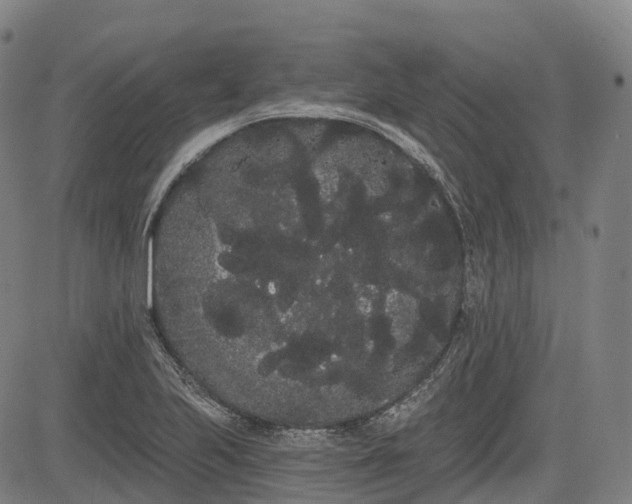 X0000085041223200703121425