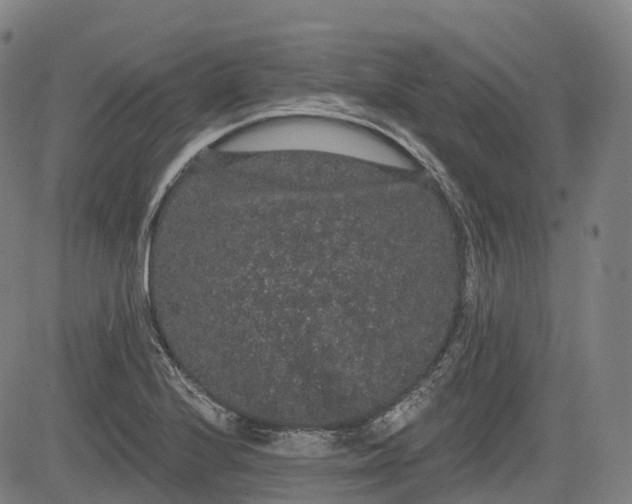 X0000085041224200703121425