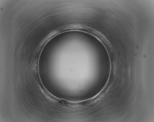 X0000085041225200703121425