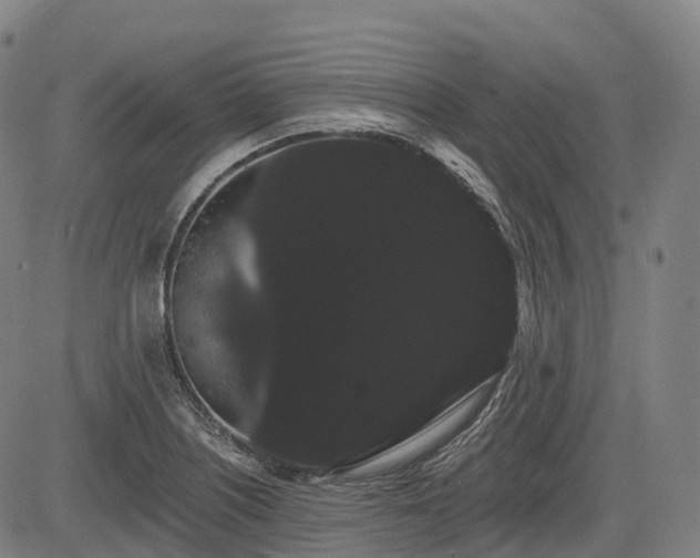 X0000085041226200703121425