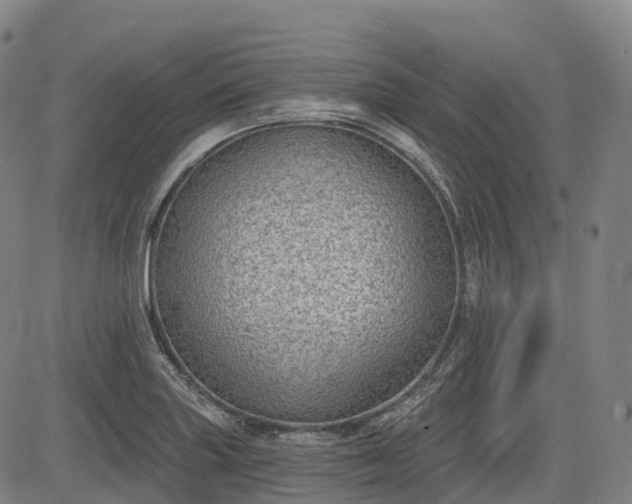 X0000085041227200703121425