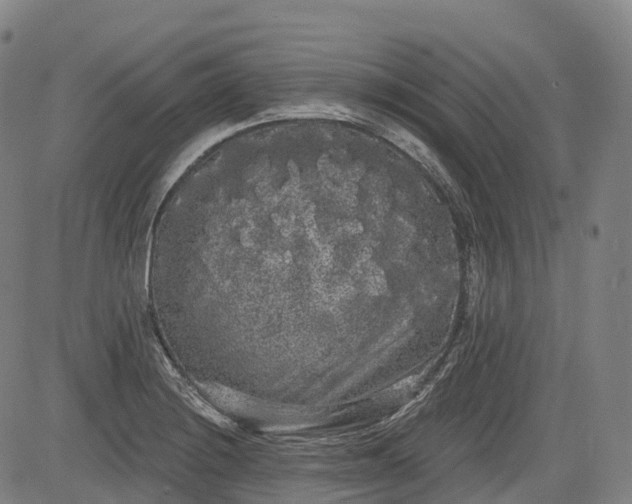 X0000085041228200703121425