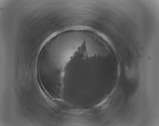 X0000085041229200703121425