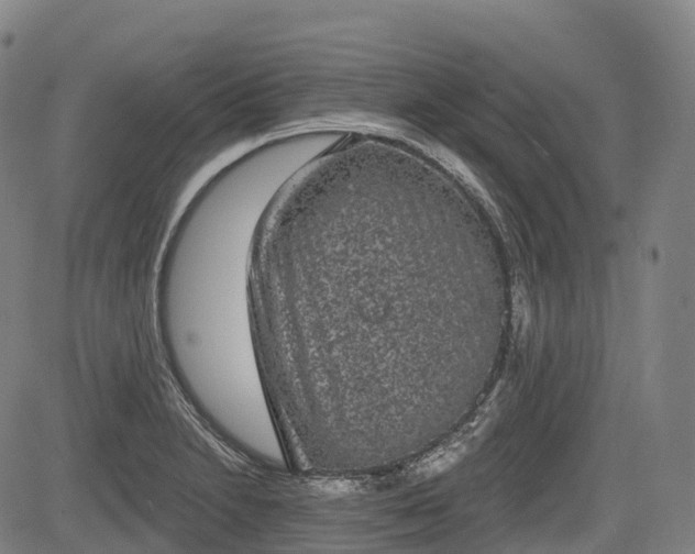 X0000085041230200703121425