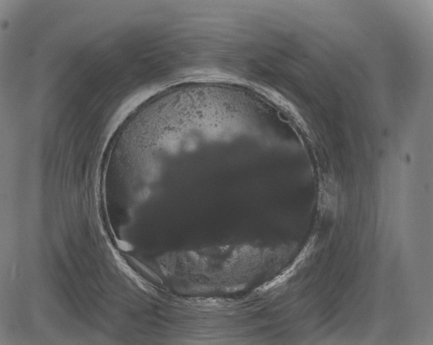 X0000085041231200703121425