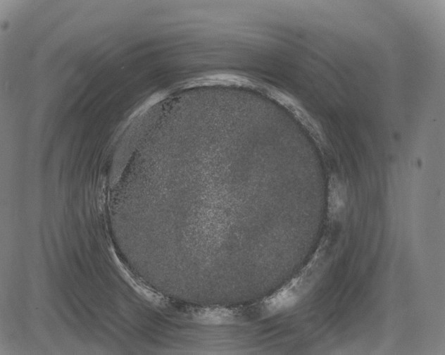 X0000085041233200703121425