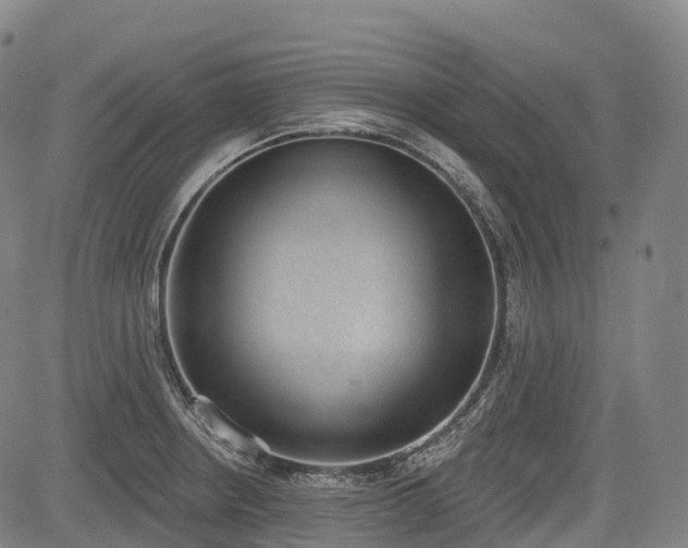 X0000085041234200703121425