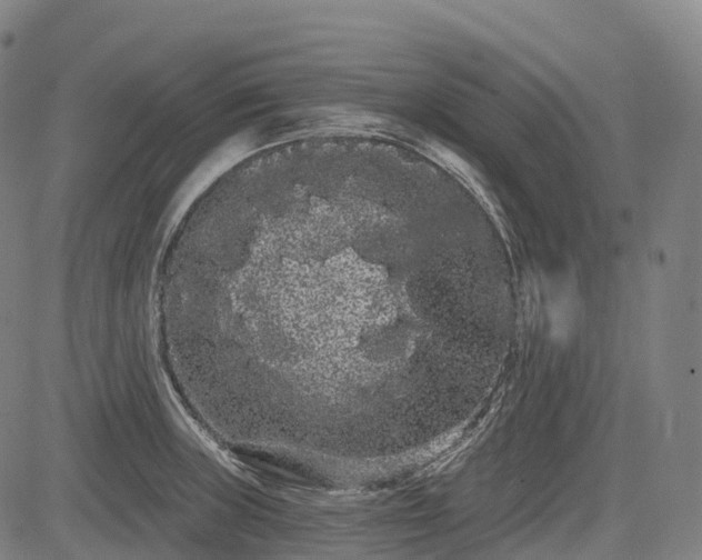 X0000085041235200703121425