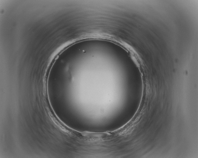 X0000085041238200703121425