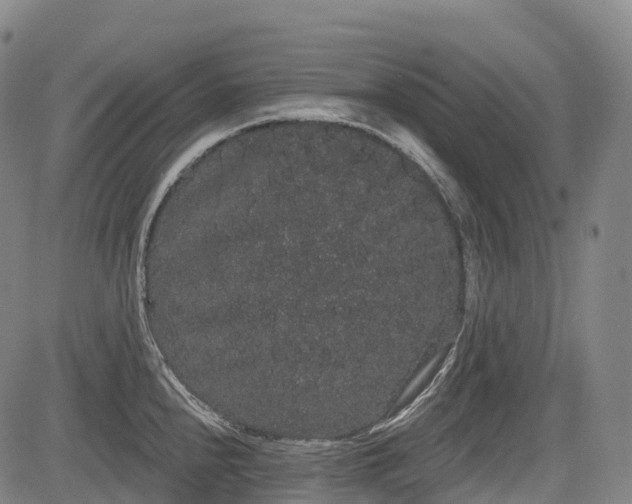 X0000085041240200703121425