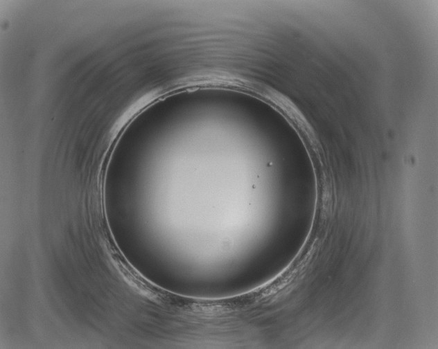 X0000085041242200703121425