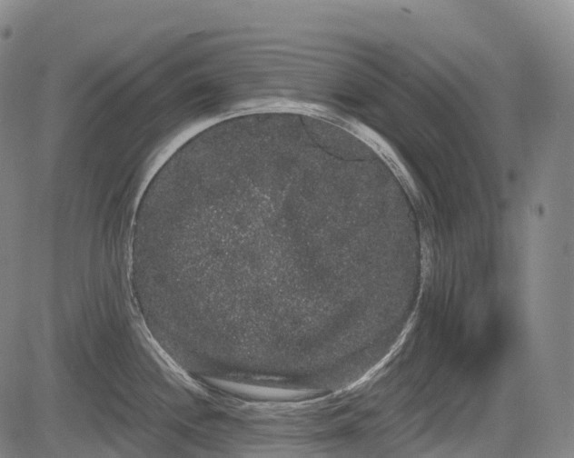 X0000085041244200703121425