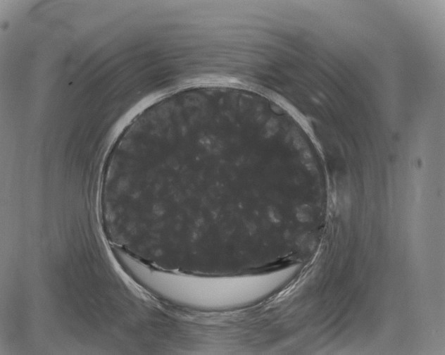 X0000085041245200703121425