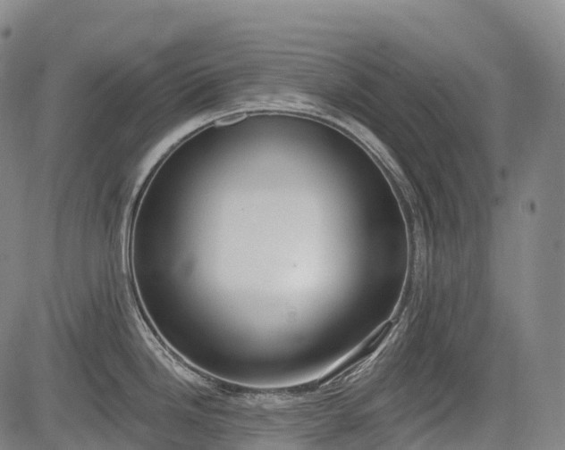 X0000085041246200703121425