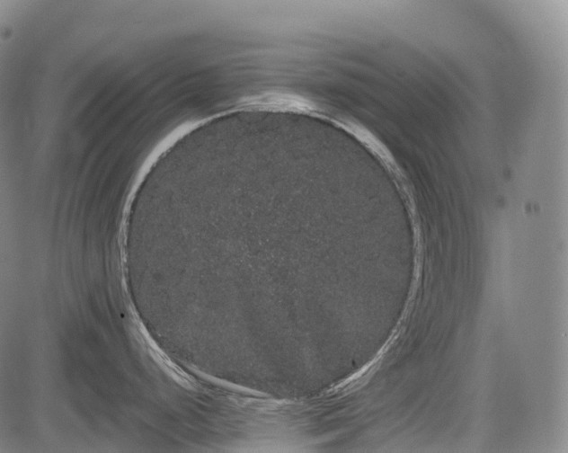 X0000085041248200703121425