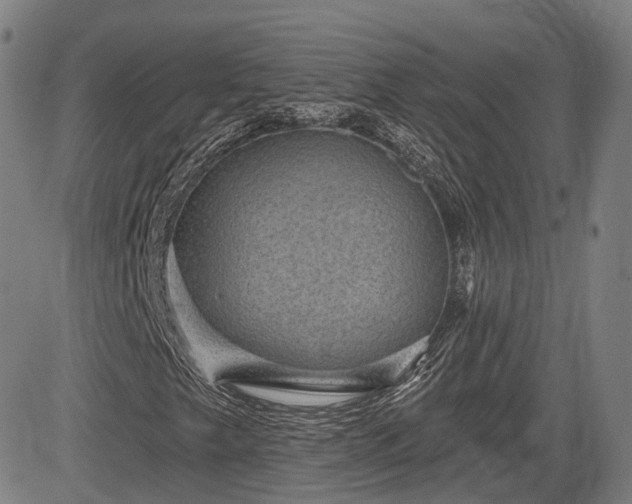 X0000085041249200703121424