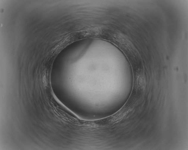 X0000085041250200703121424