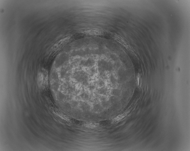 X0000085041251200703121424