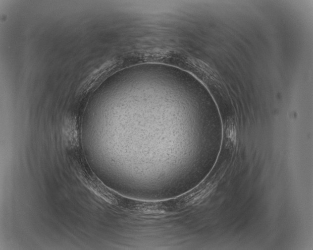 X0000085041252200703121424