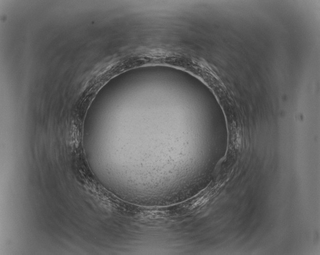 X0000085041253200703121424