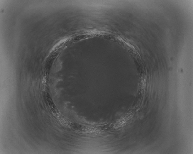 X0000085041254200703121424