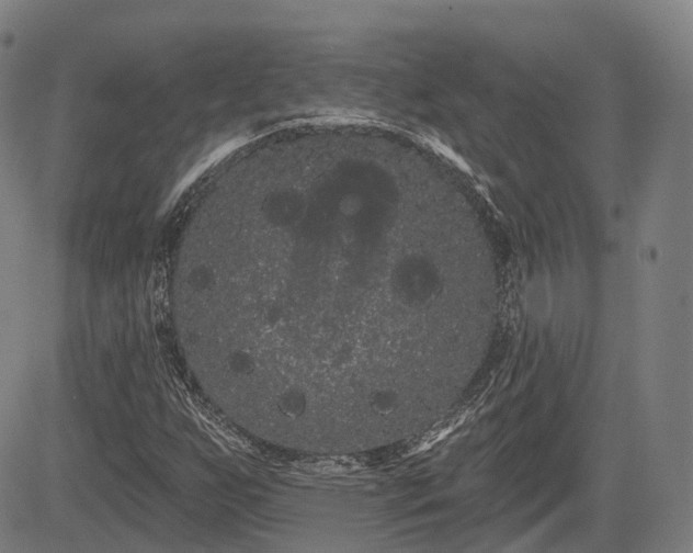 X0000085041255200703121424