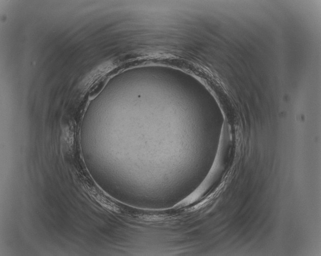 X0000085041257200703121424