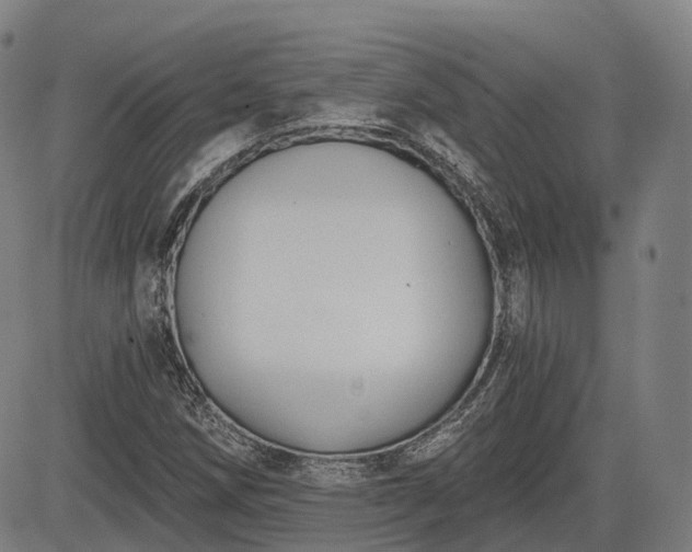 X0000085041258200703121424