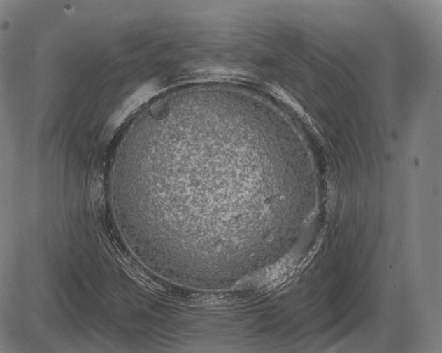 X0000085041259200703121424