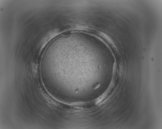 X0000085041260200703121424