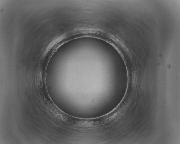 X0000085041261200703121424