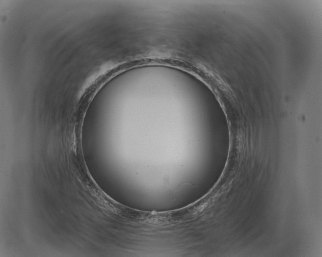 X0000085041262200703121424