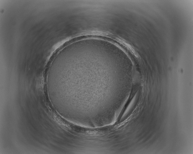 X0000085041264200703121424