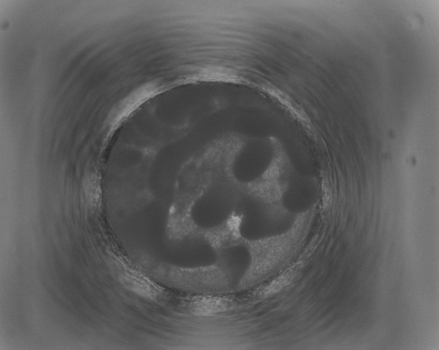 X0000085041266200703121424