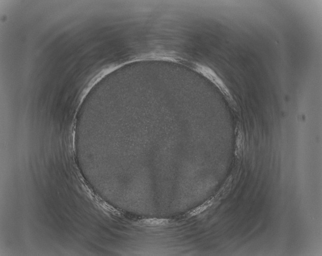 X0000085041268200703121424