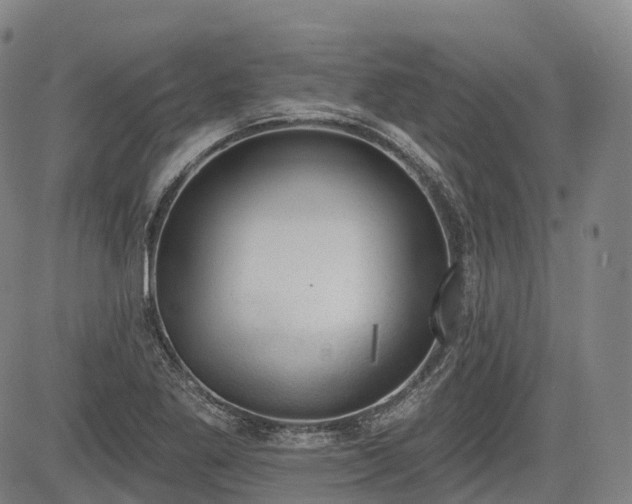 X0000085041269200703121424