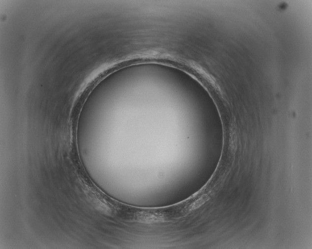 X0000085041270200703121424