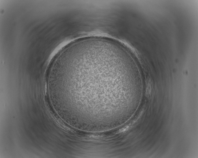 X0000085041271200703121424