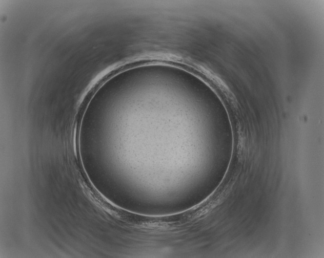 X0000085041272200703121424