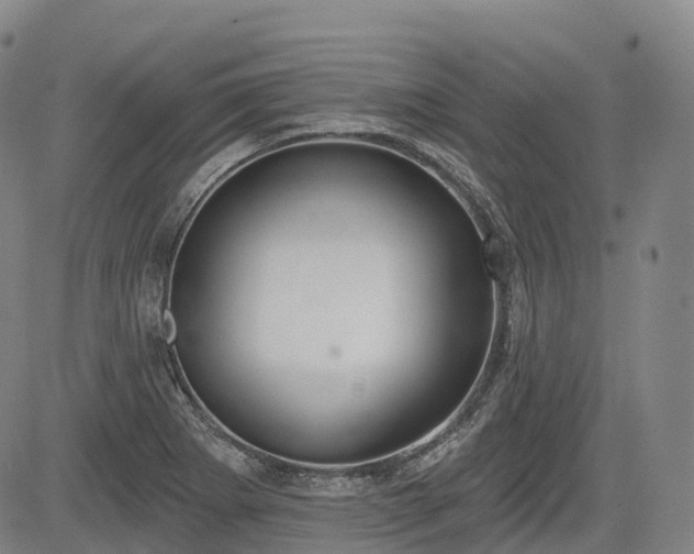 X0000085041273200703121424