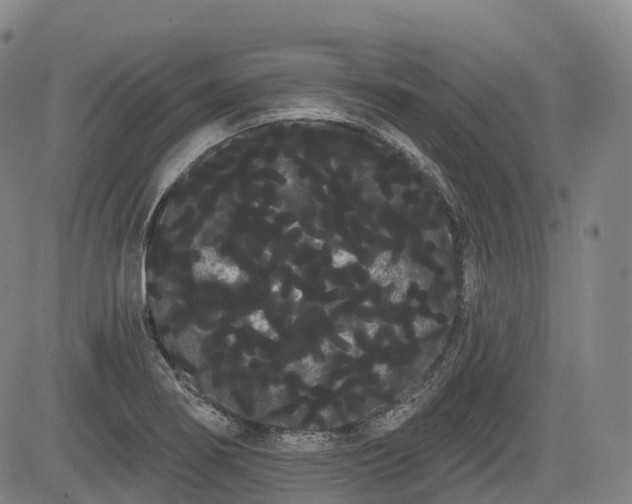 X0000085041274200703121424