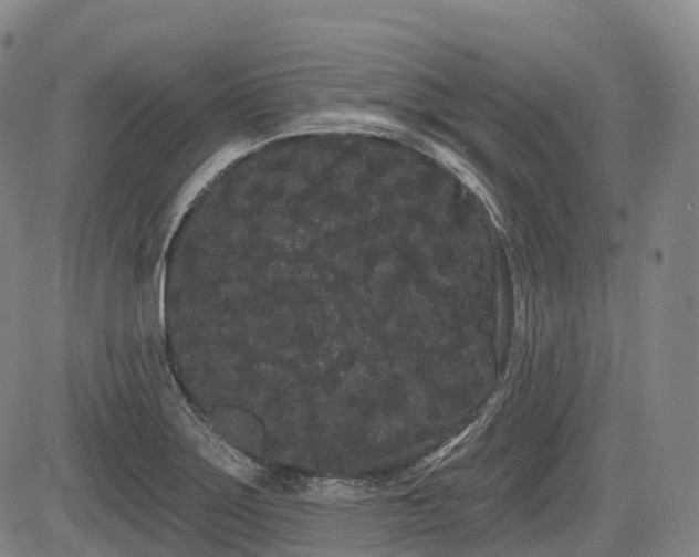 X0000085041275200703121424